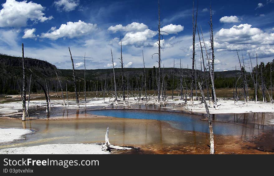 Black geyser spring in Yellowstone National Park