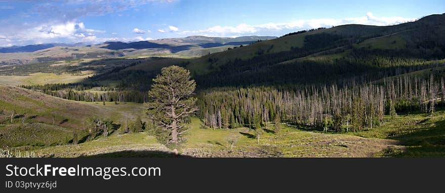 Yellowstone National Park