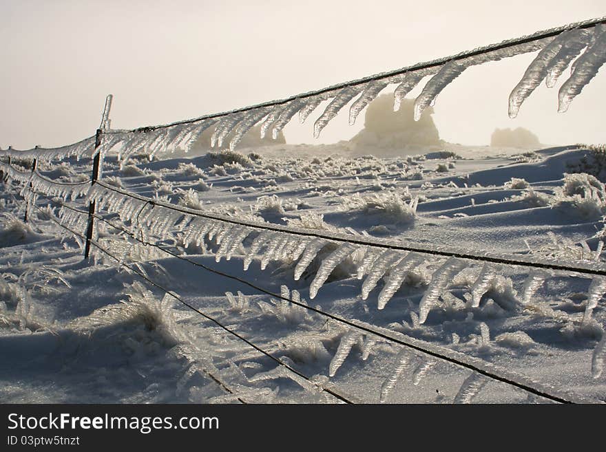 Icicle on a cold winter morning in new zealand. on top of the old worman range. Icicle on a cold winter morning in new zealand. on top of the old worman range