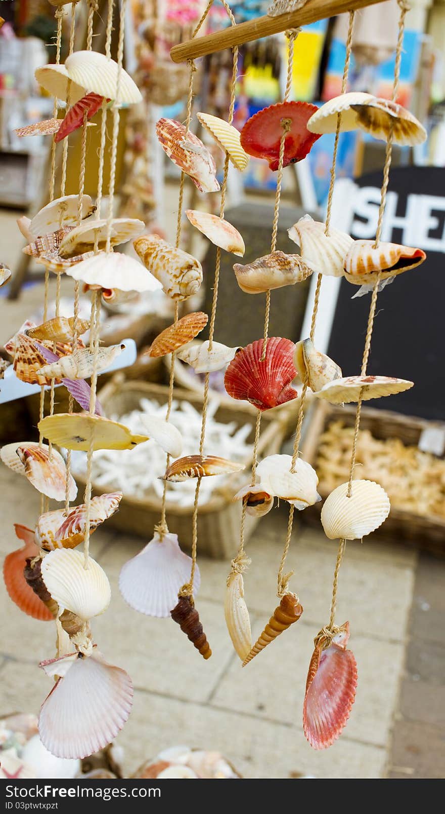 Colourful shells hanging on string. Colourful shells hanging on string