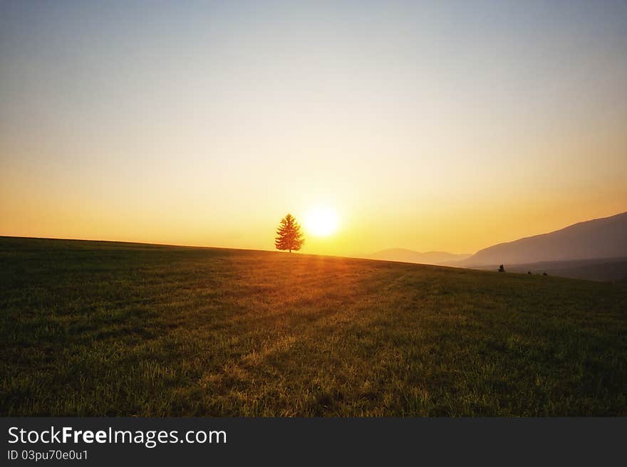 Sunset over meadows