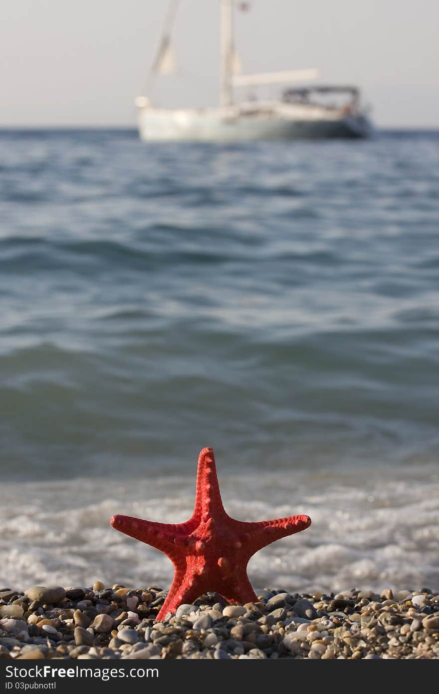 Starfish with boat