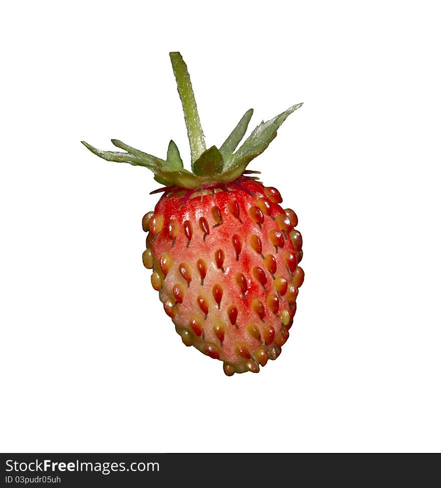 Wild strawberry on a white background.