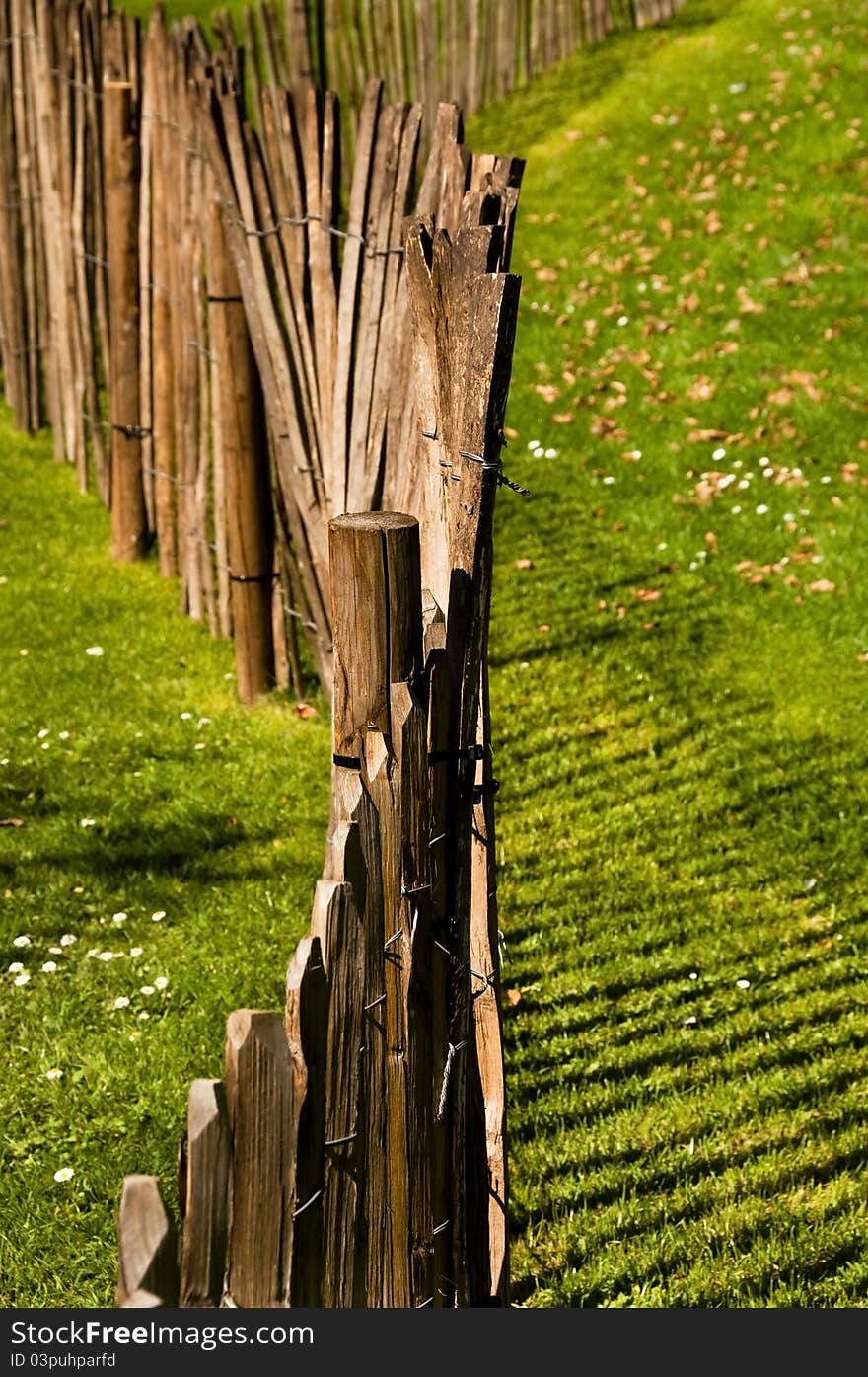 A wood fence in a garden