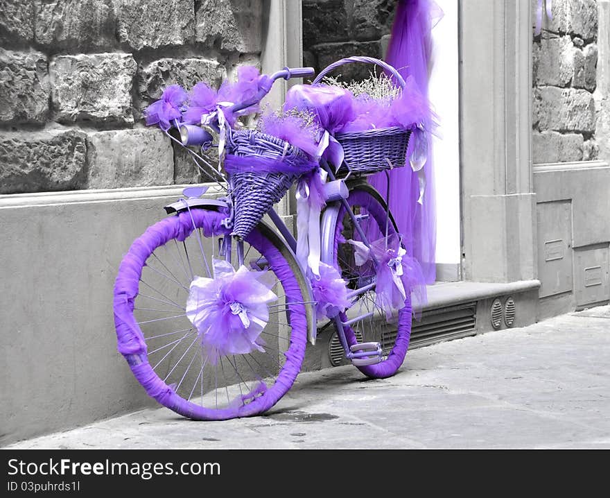 Vintage bicycle wrapped in purple fabric, black and white background. Vintage bicycle wrapped in purple fabric, black and white background