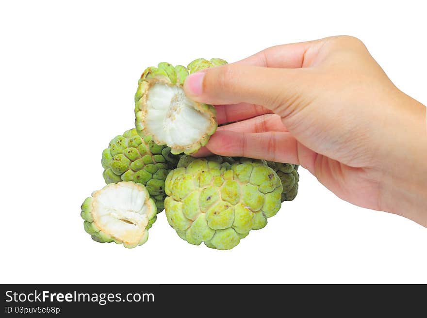 Concept fresh custard apple isolated