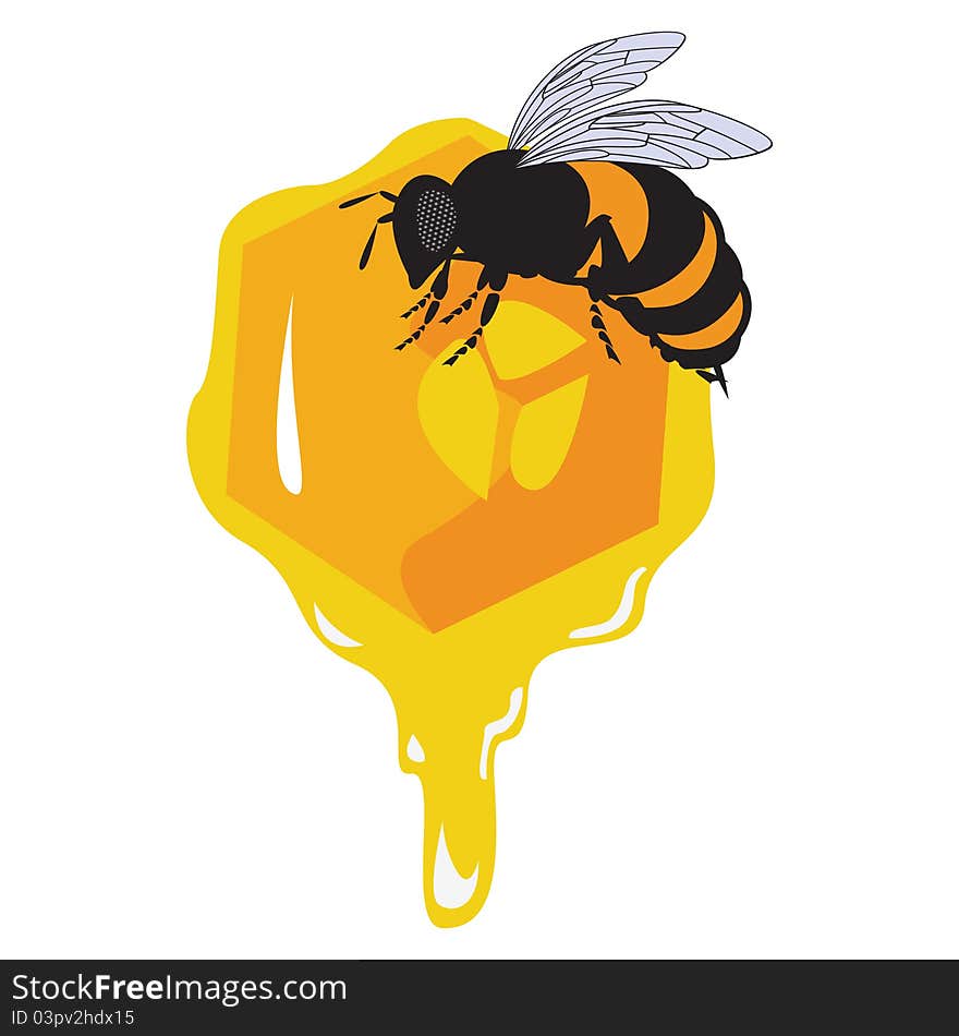 The vector bees and honeycomb with honey