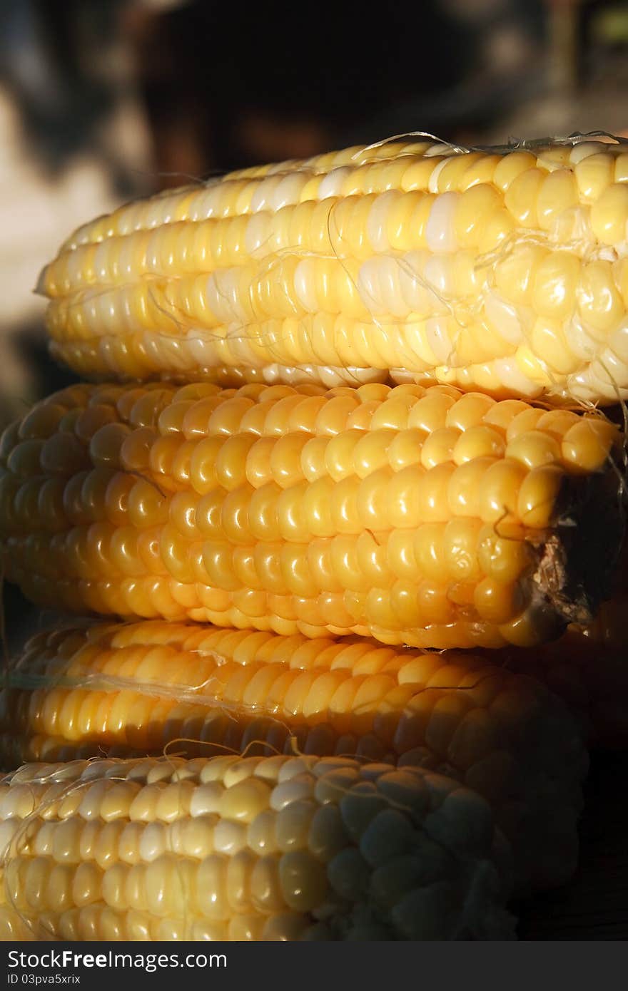 Macro corns in solar light