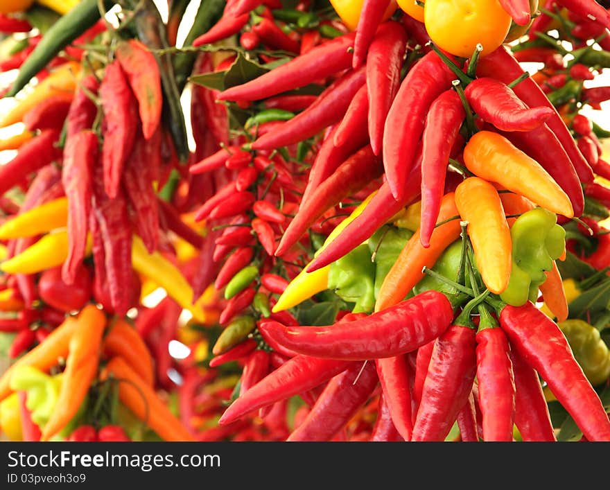 Bunches of colorful bright hot chili peppers at outdoor market. Bunches of colorful bright hot chili peppers at outdoor market