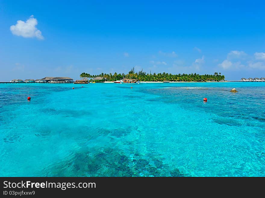 Maldives island with blue sea