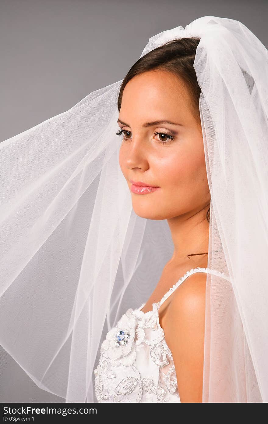 Beautiful bride under veil on studio neutral background. Beautiful bride under veil on studio neutral background