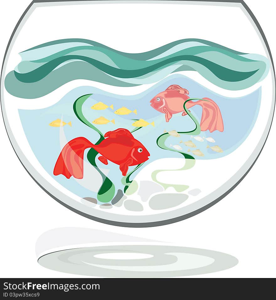 Aquarium of a round shape with fish, green grass and stones. Aquarium of a round shape with fish, green grass and stones