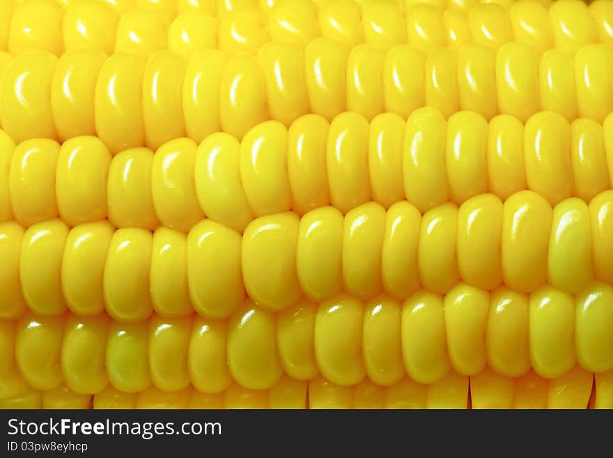 Yellow corn close up background