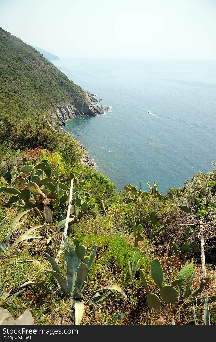 Cinque Terre coastal path ITALY