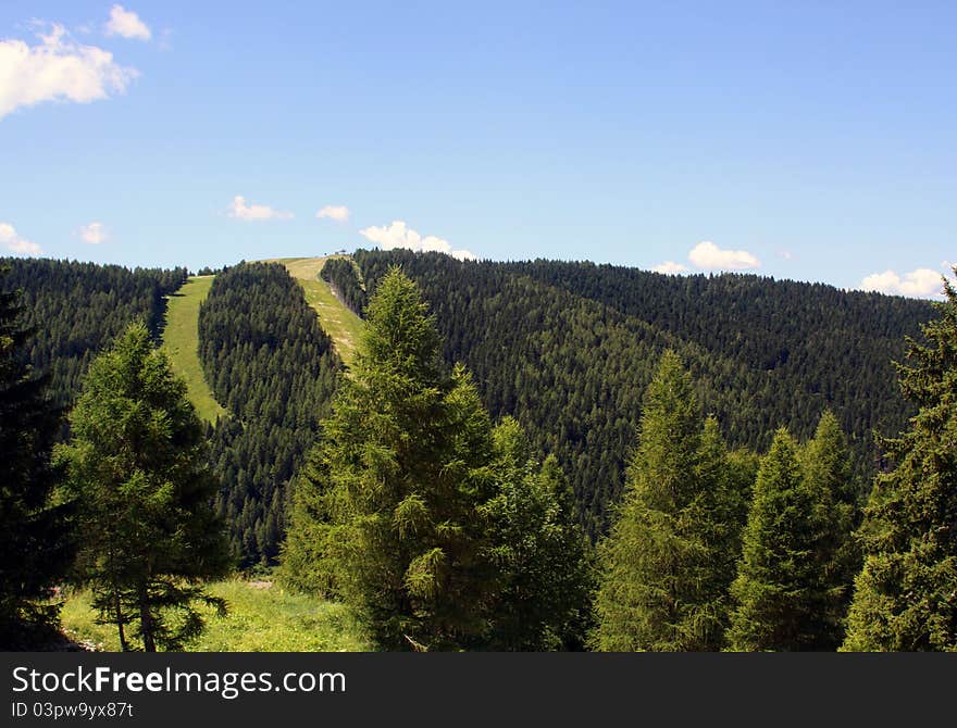 Alpine landscape