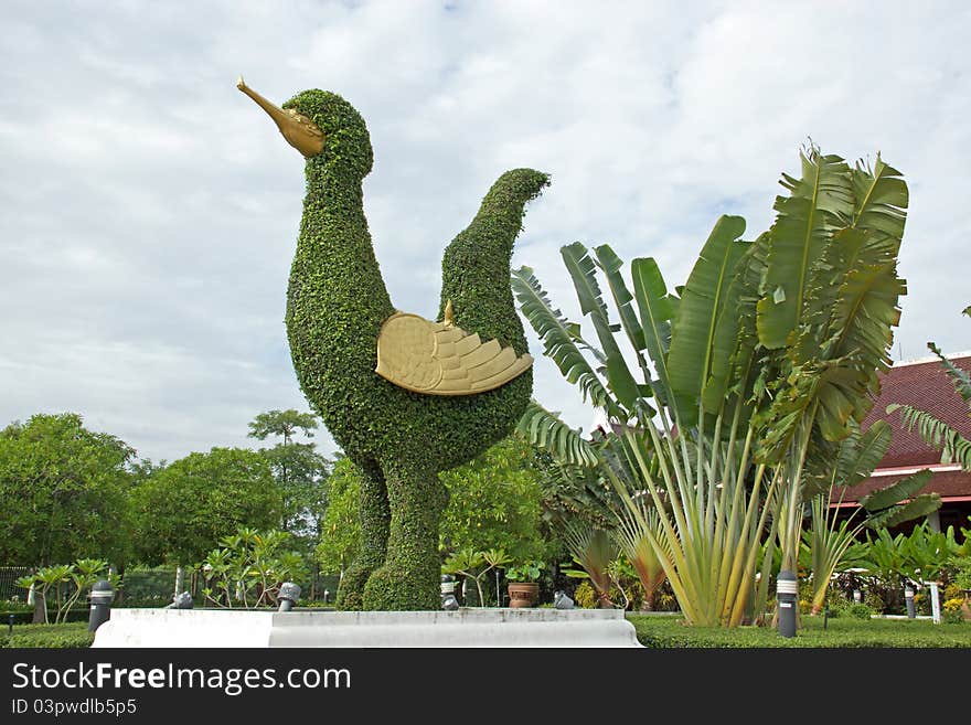 Garden variety in your garden. One of them is to boil the wood cut into animal shapes.