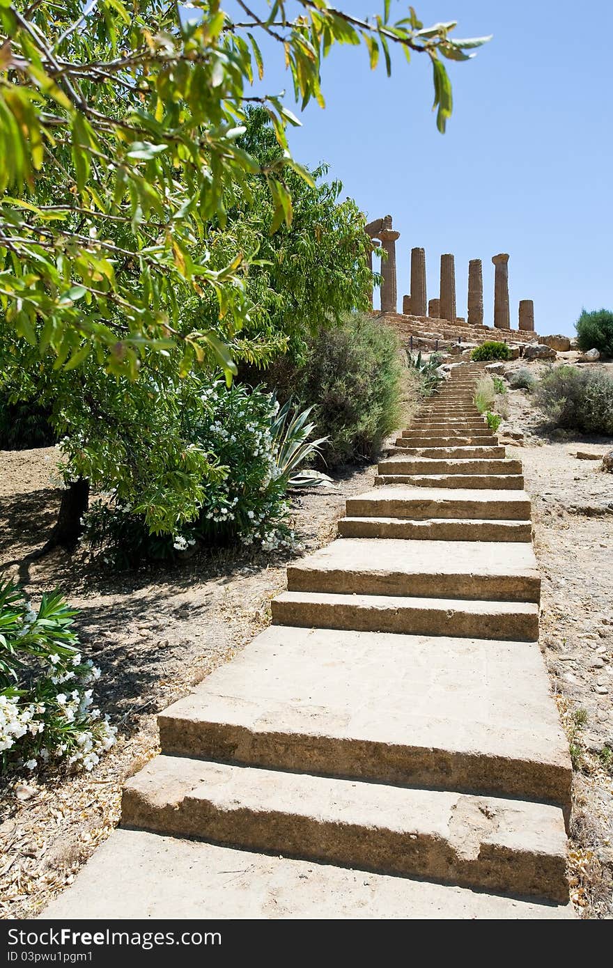 Steps to Temple