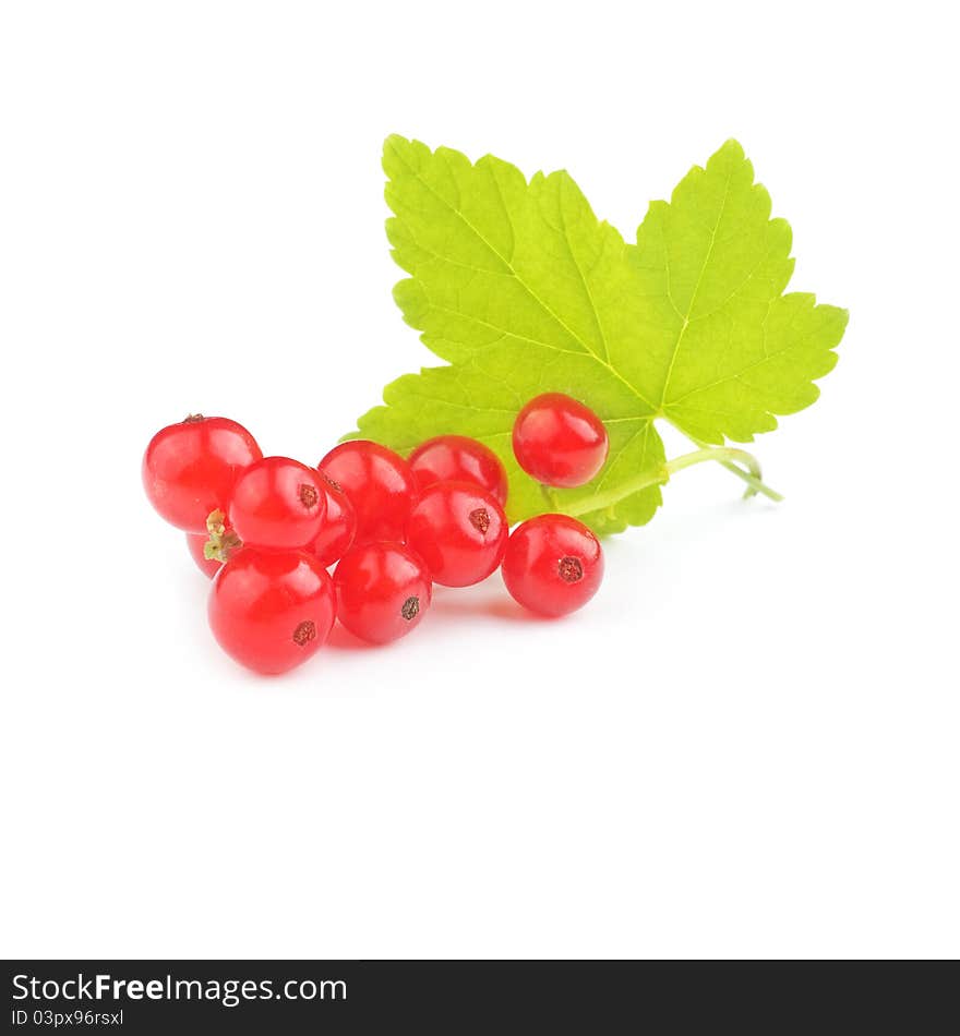 Isolated currant on a white background