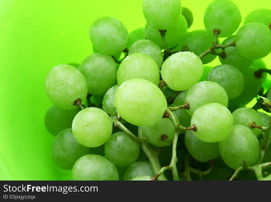 Bright green background with wet grape