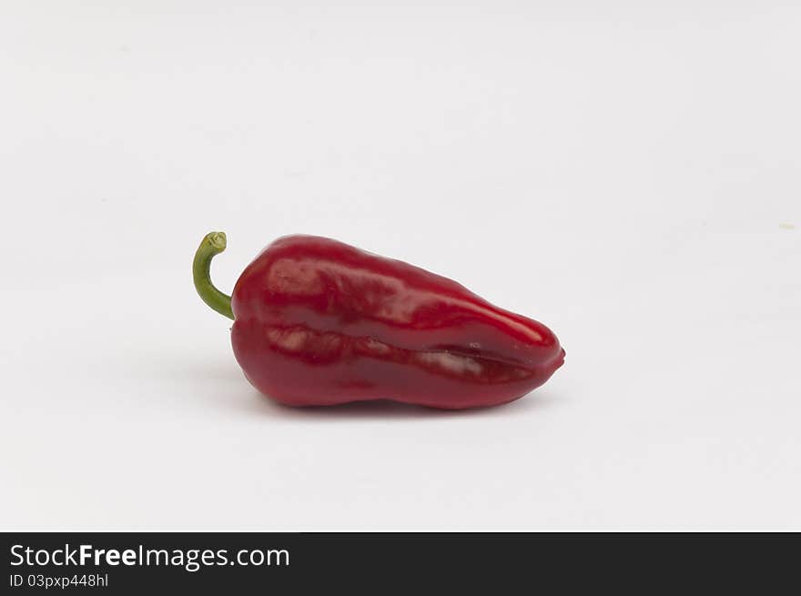 One red Pepper on a white background