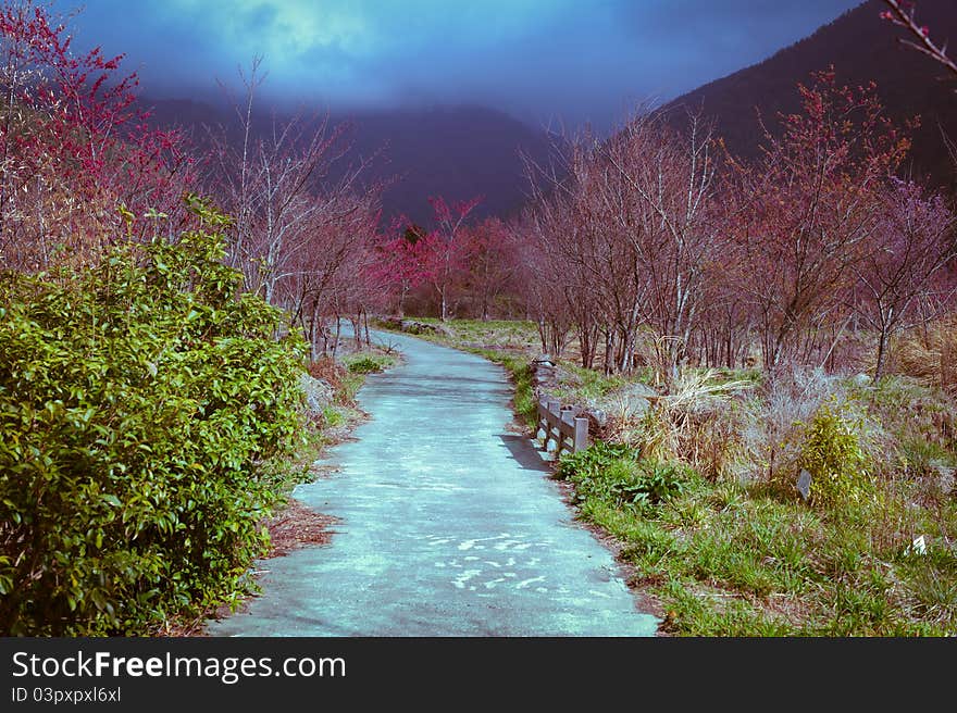 Fantasy colors like the road leading to fairyland