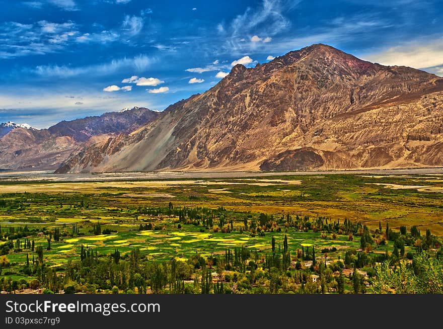 Nubra Valley-5/2011