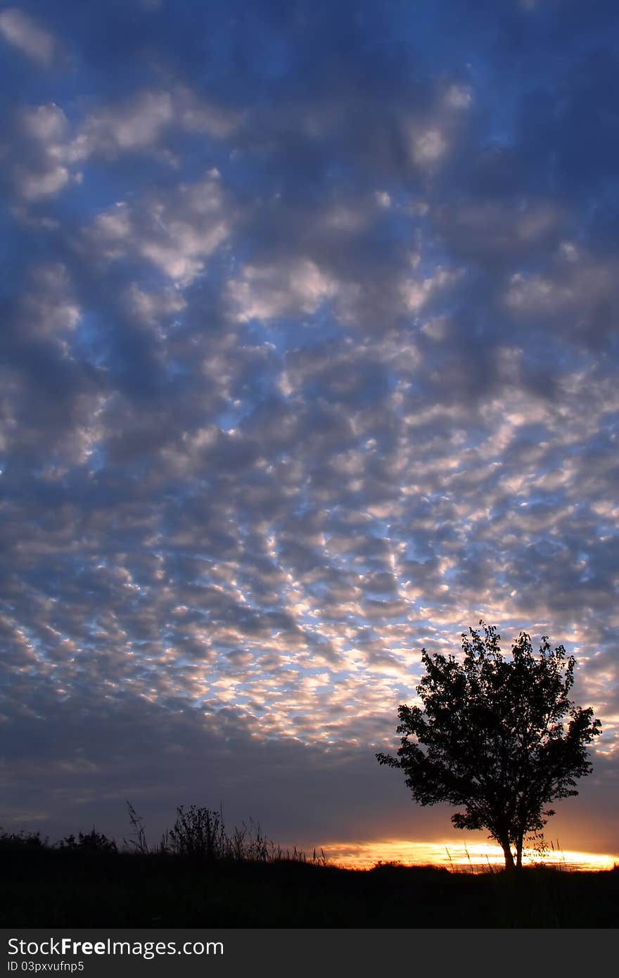 A tree at sunset with a sky full of clouds