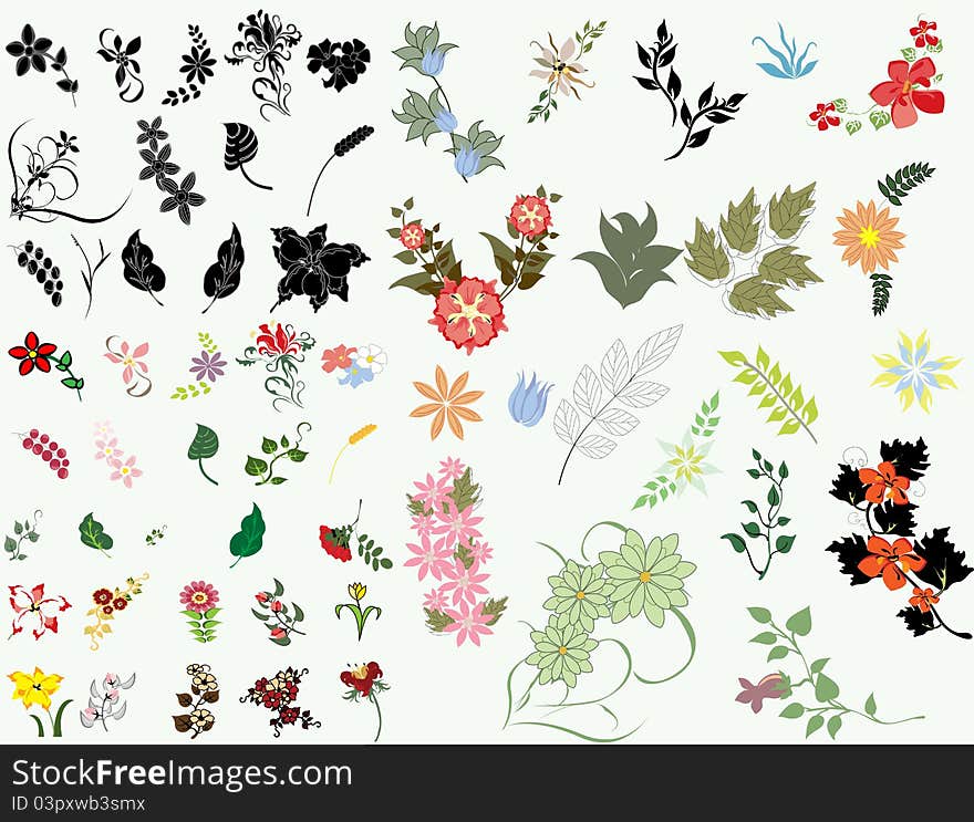 Beautiful pattern set floral leaf nature. Beautiful pattern set floral leaf nature