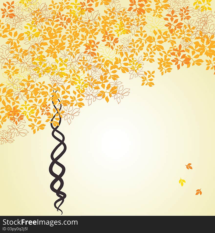 Autumn Tree