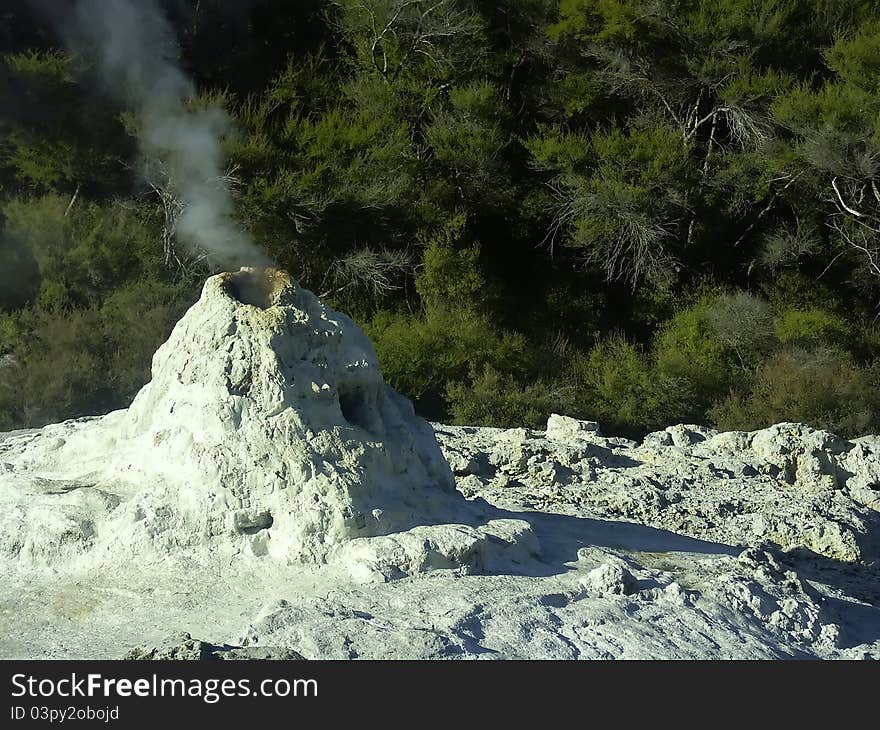 Lady Knox Geyser