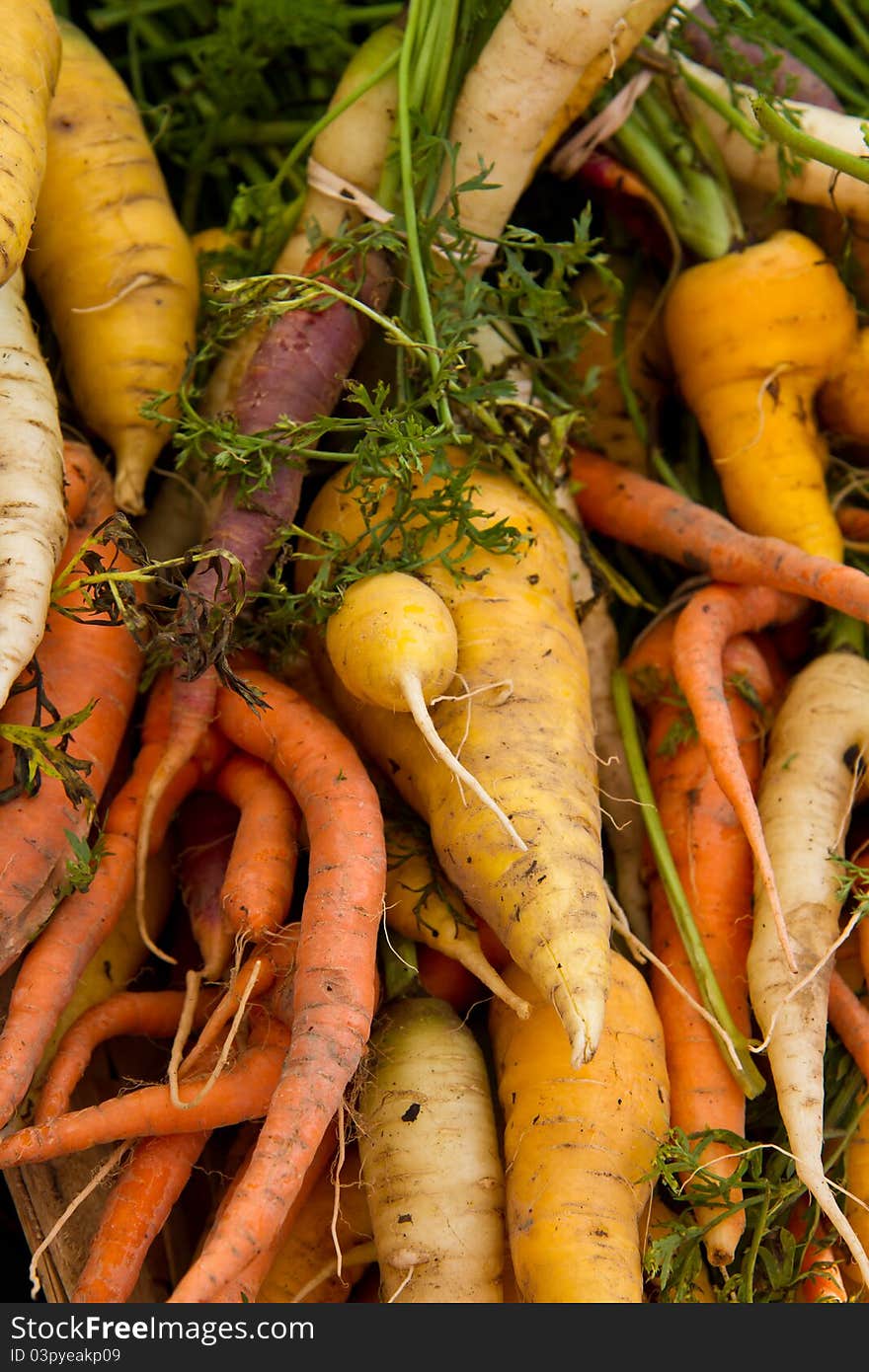 Colorful carrots for sale at a farmer's market