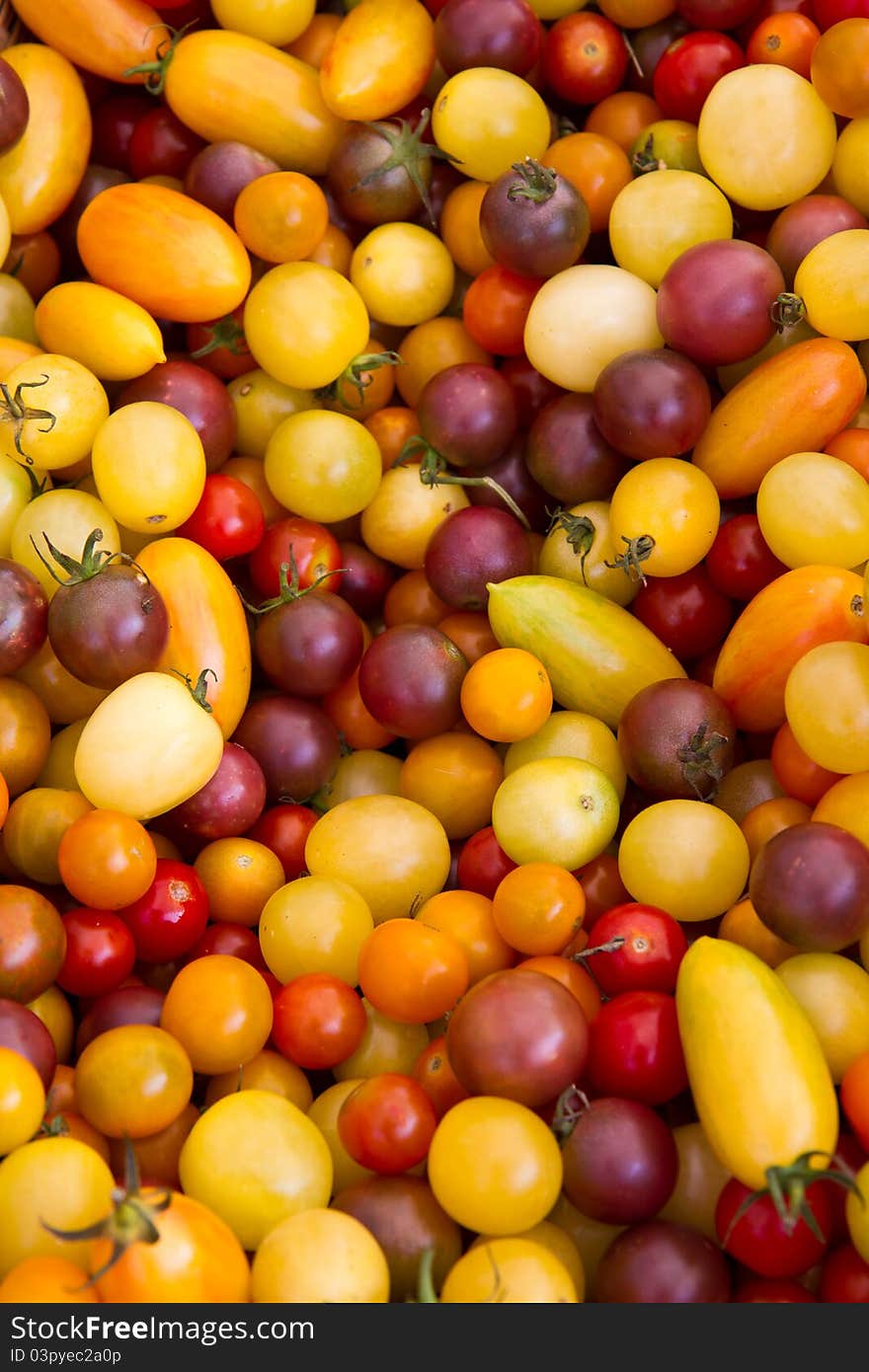 Colorful Tomatoes