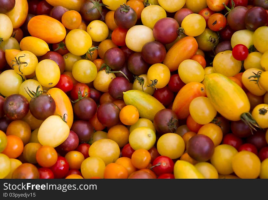 Colorful tomatoes