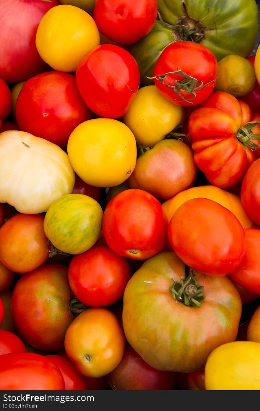 Colorful tomatoes