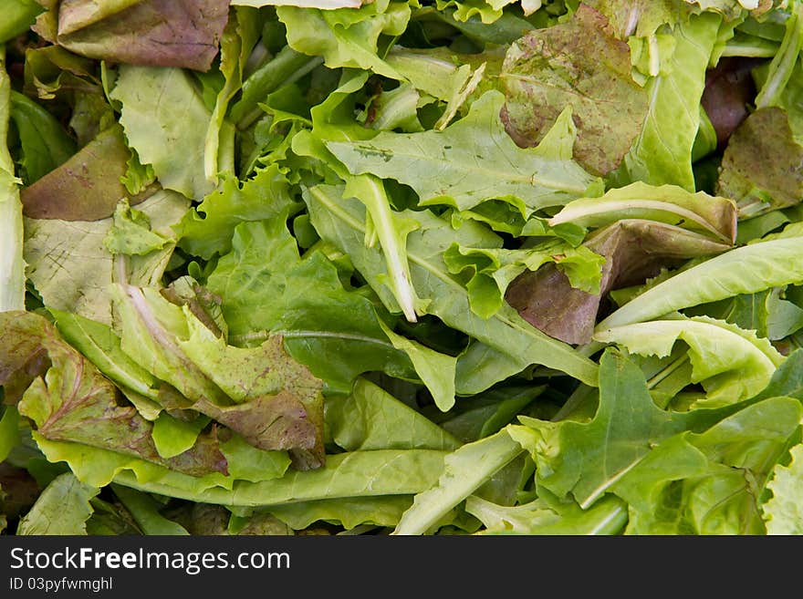 Salad mix