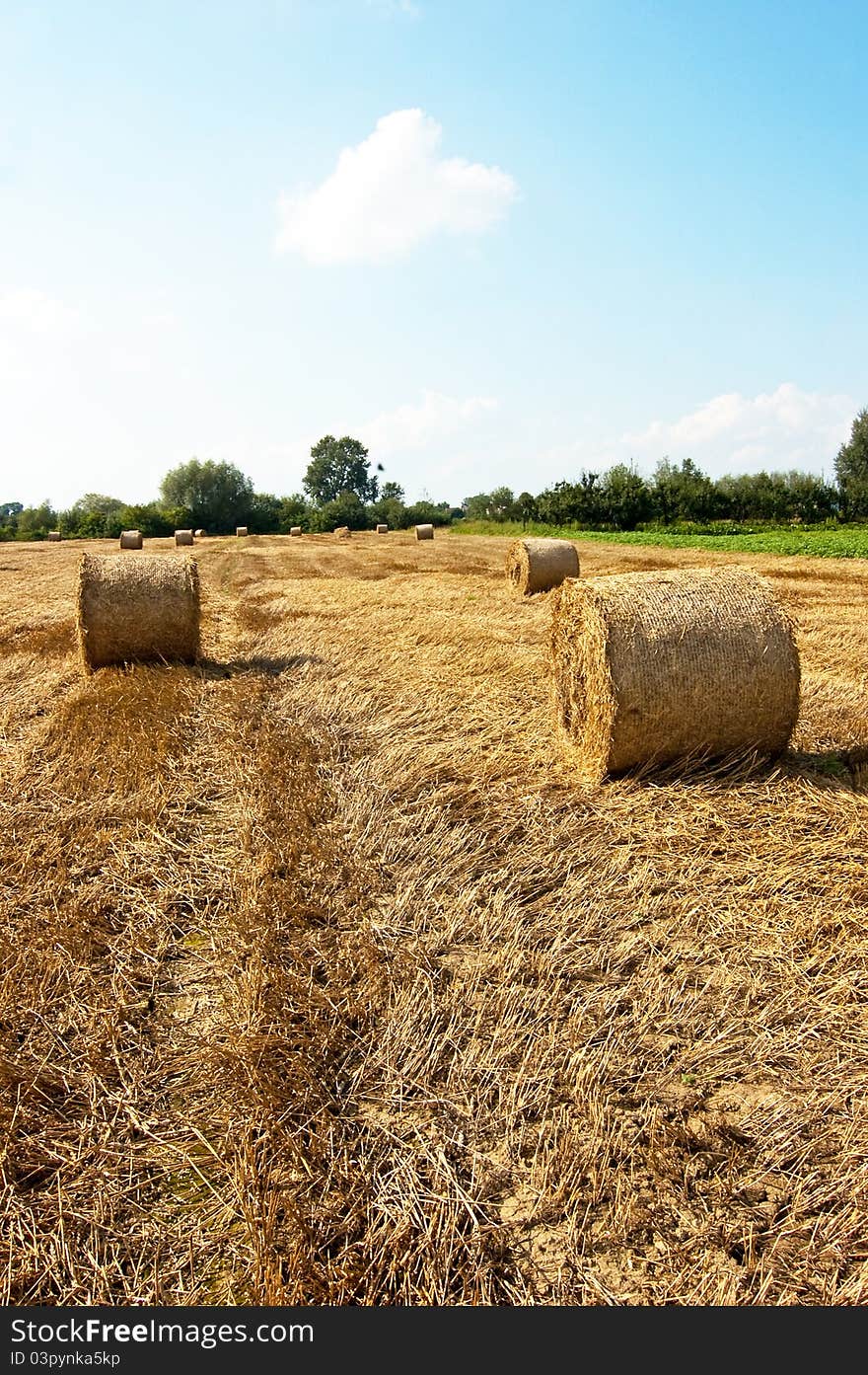 Hay balls