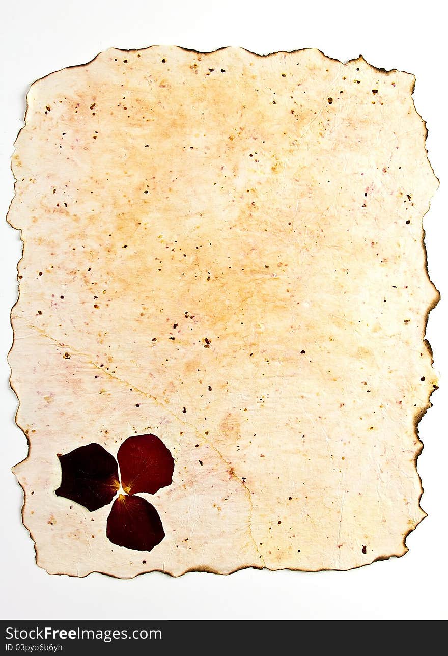 A grunge old piece of paper with a very detailed organic texture. Great as a background. A grunge old piece of paper with a very detailed organic texture. Great as a background.