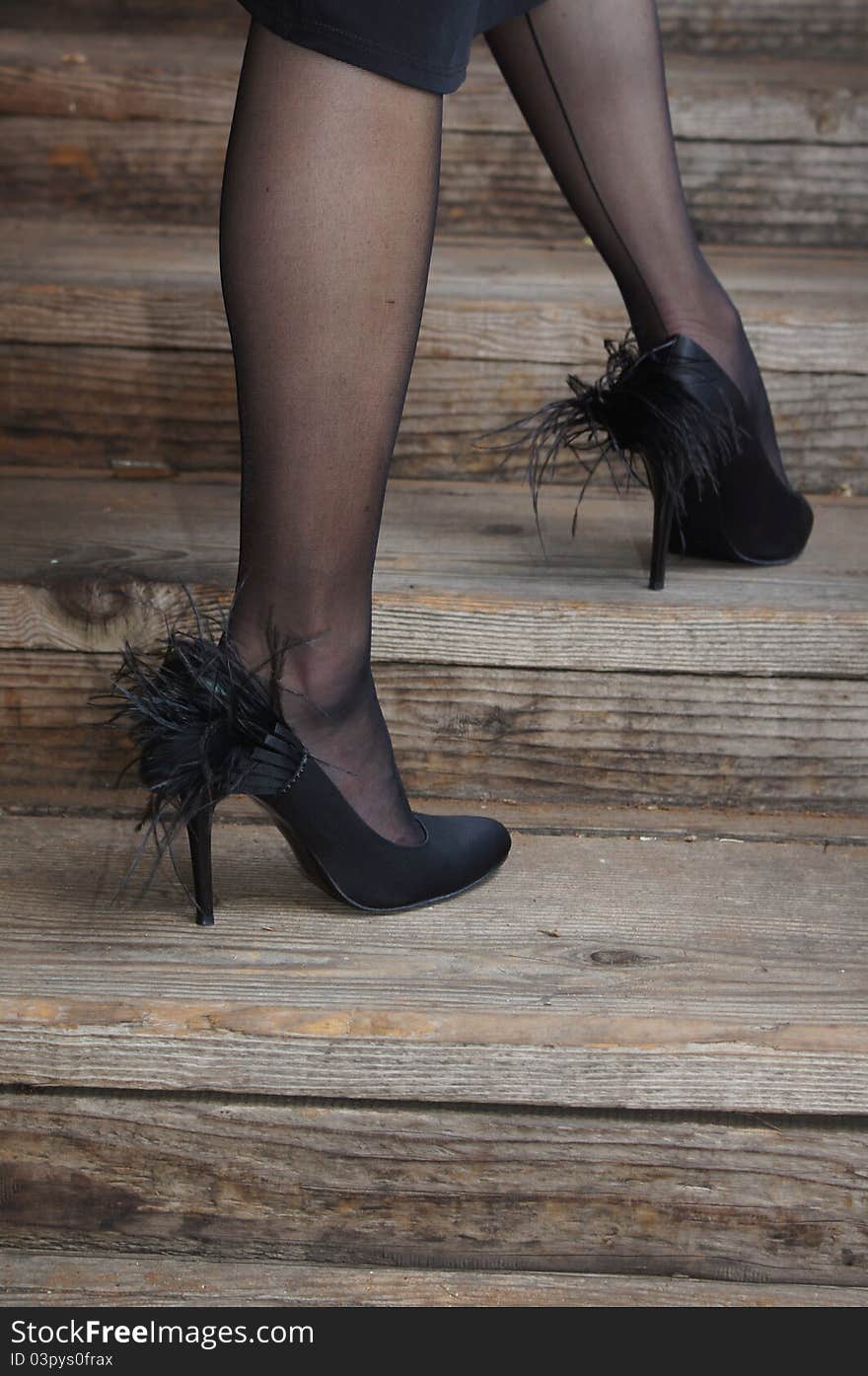 Legs With Black Stockings And Feather Shoes