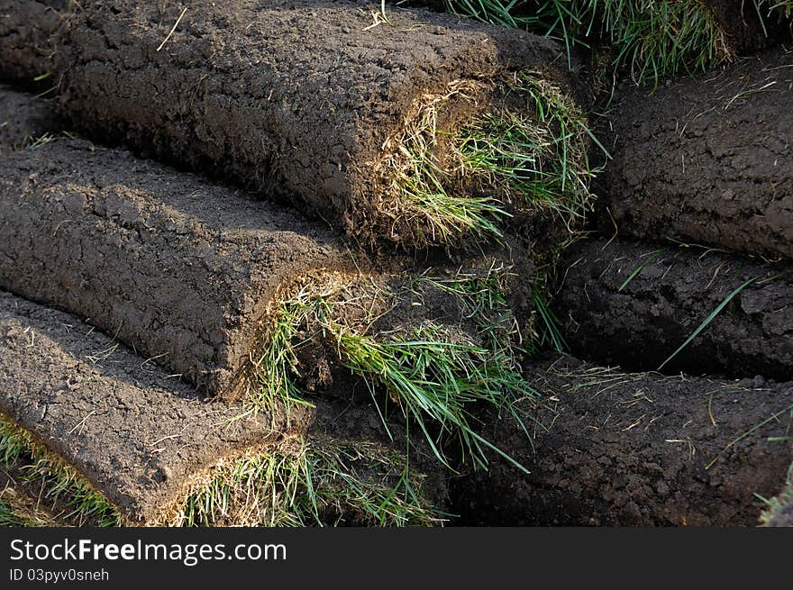 Lawn Turf Rolls