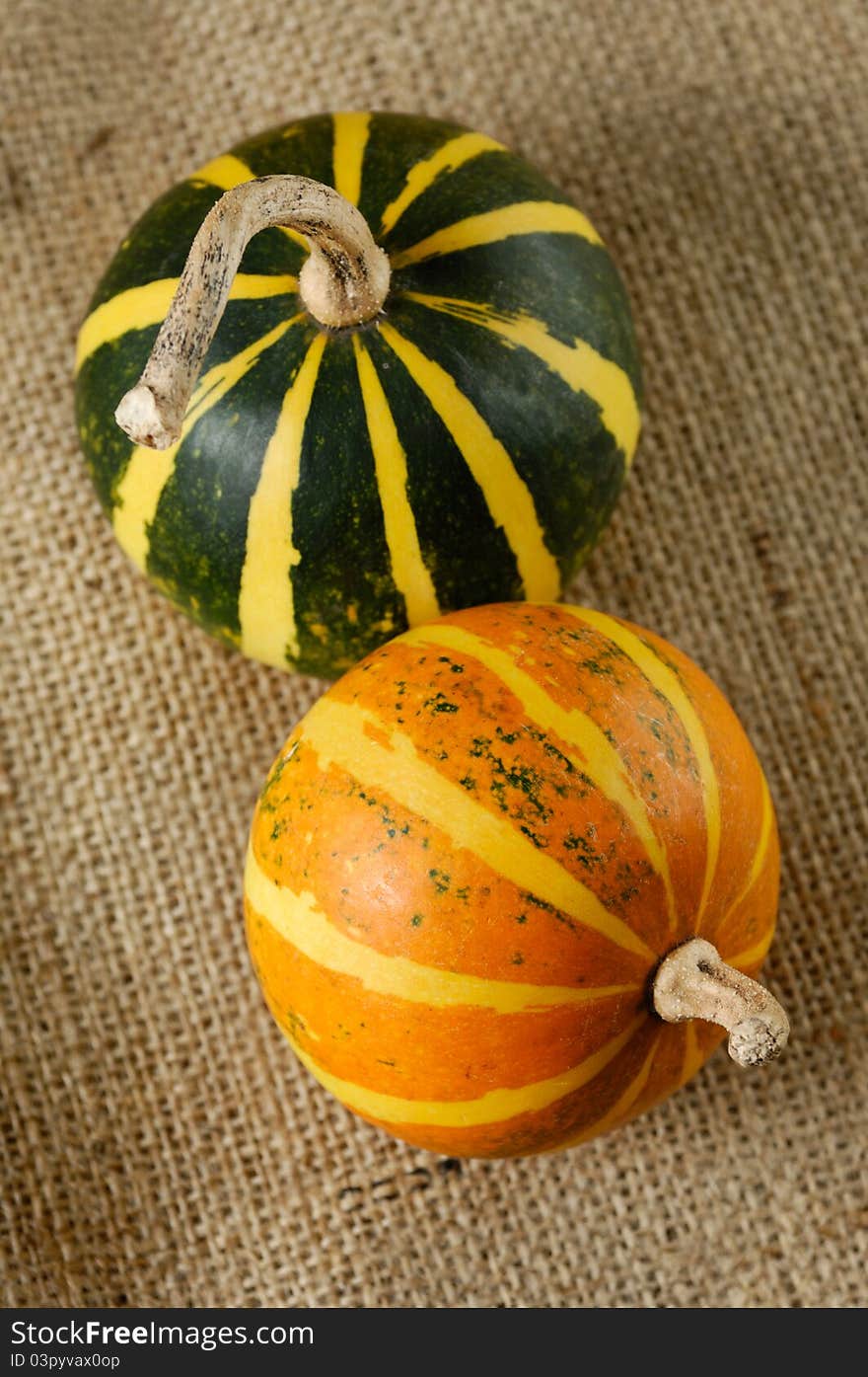 Two striped gourds on burlap Country style still life. Two striped gourds on burlap Country style still life