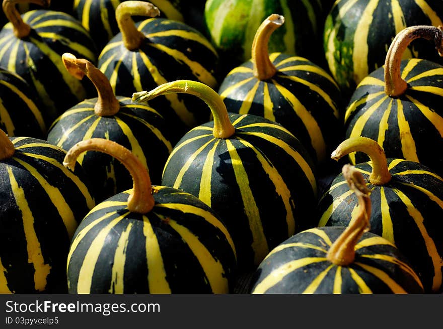 Gourds