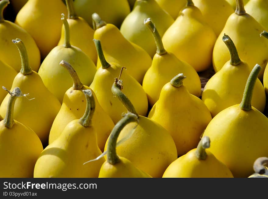 Gourds