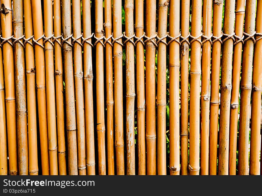 Old bamboo fence using as a background. Old bamboo fence using as a background