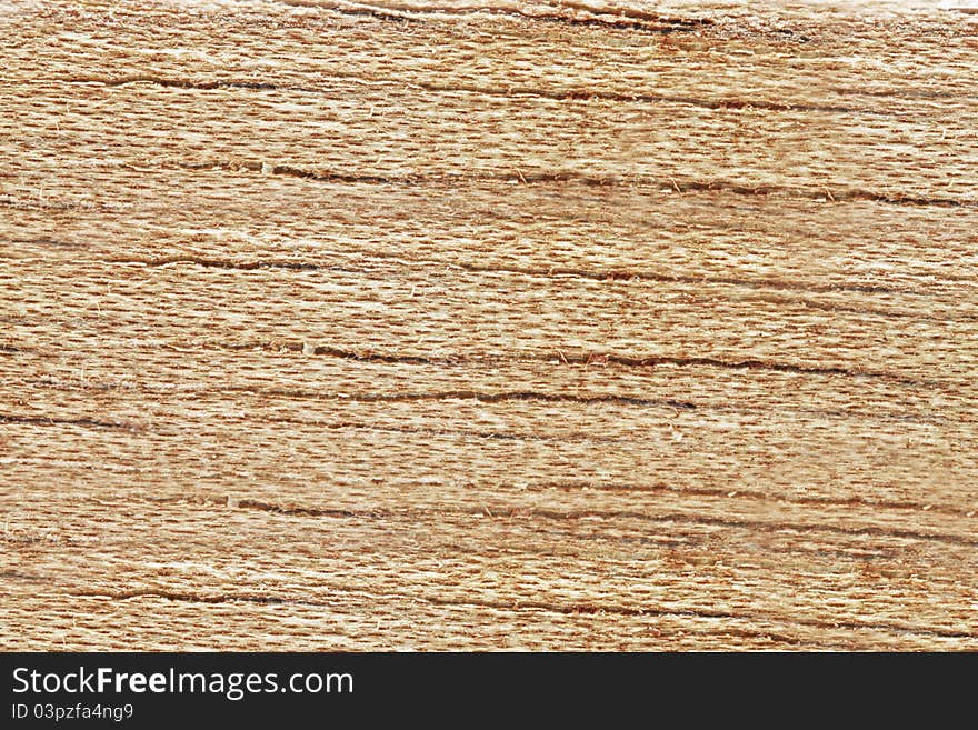 Cedar background