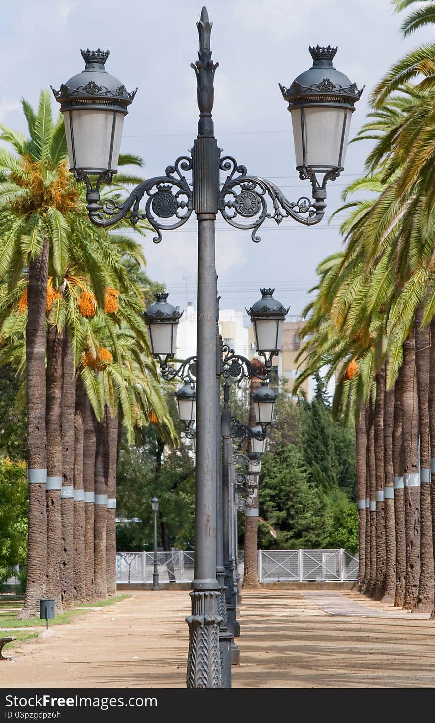 Avenue lampposts, palm trees surrounded by vertical