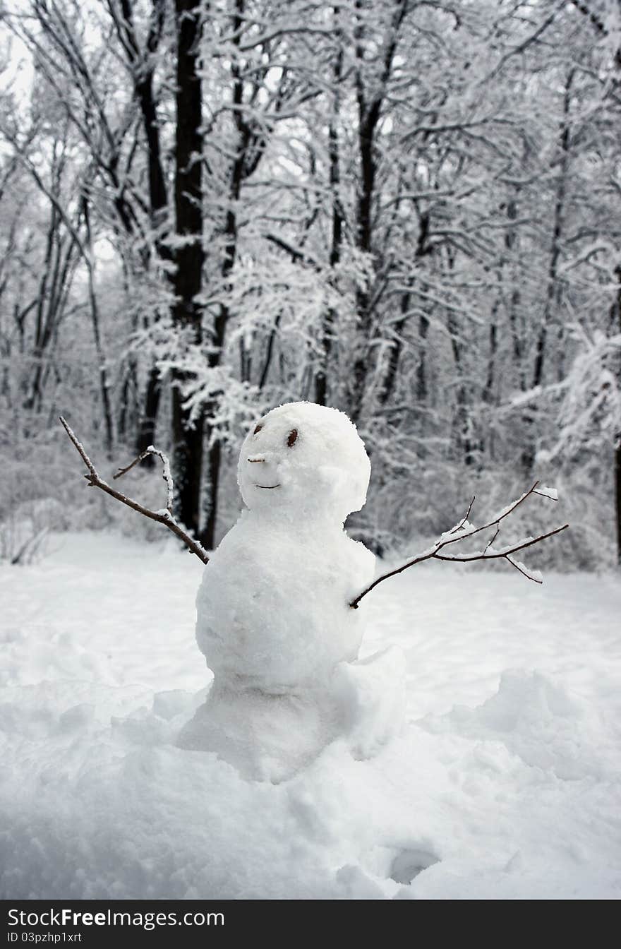 Funny snowman