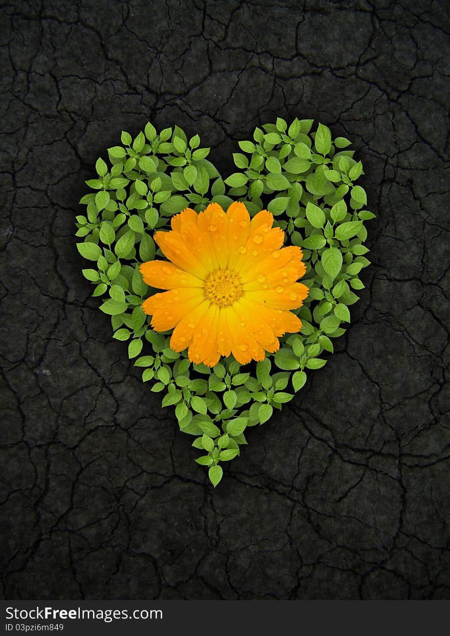 Green heart on cracked soil