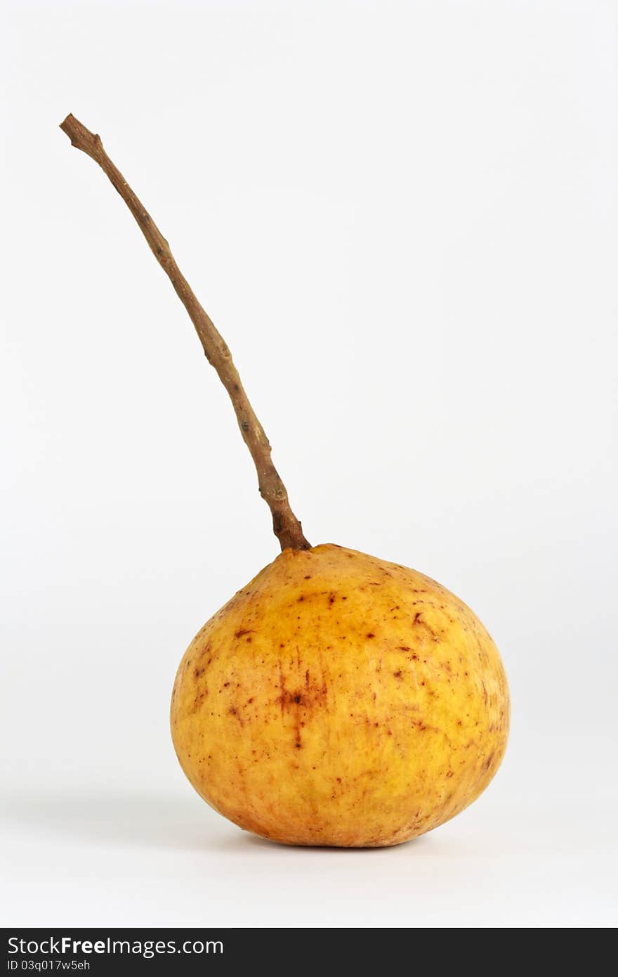 Santol tropical fruit on a white background