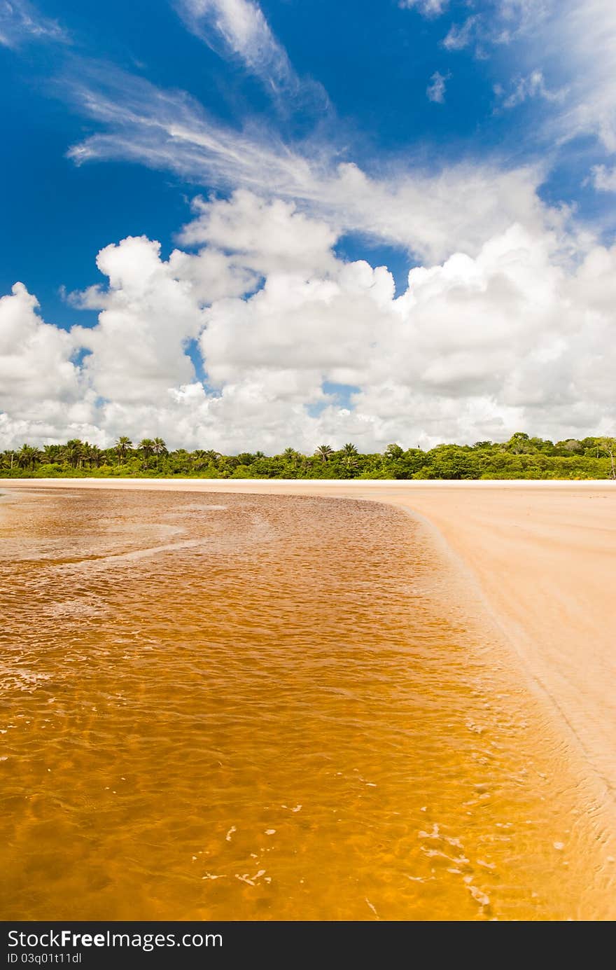 Clear water on tropical beach