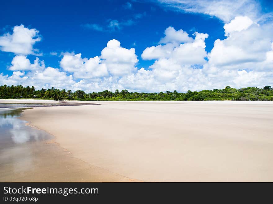 River Entering Open Sea